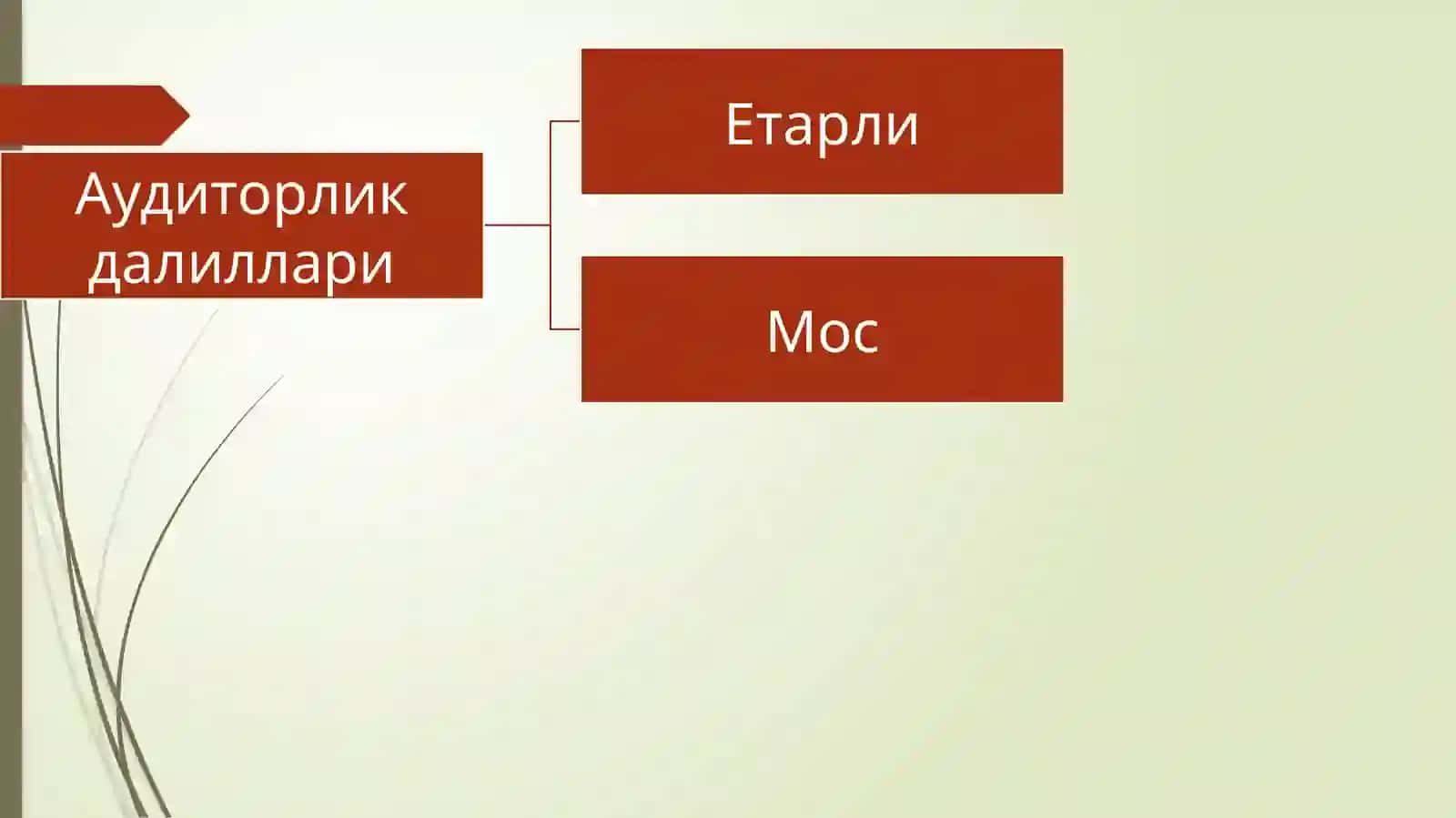 Аудиторлик далиллари 4