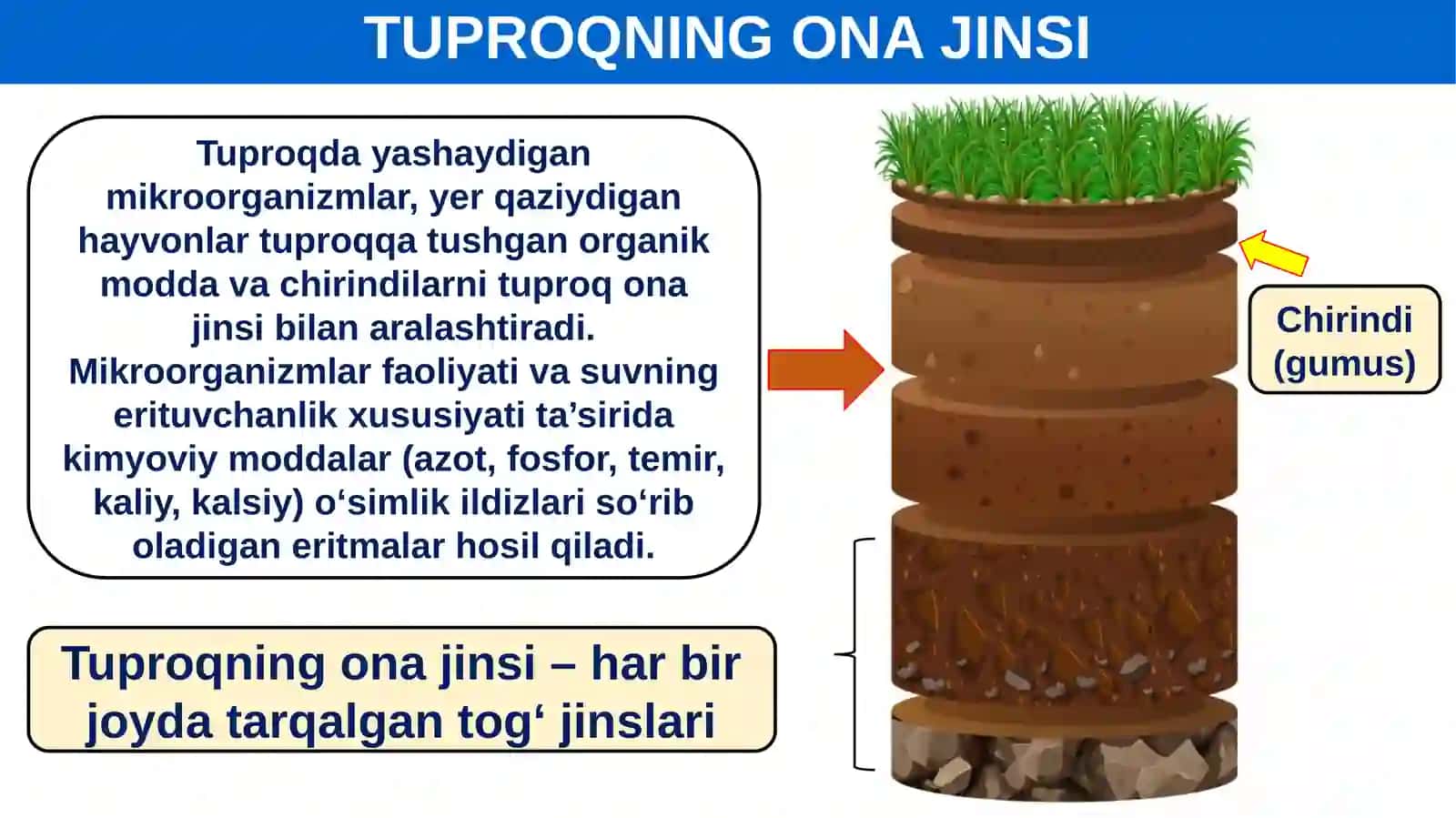O‘rta Osiyo tuproqlari 4