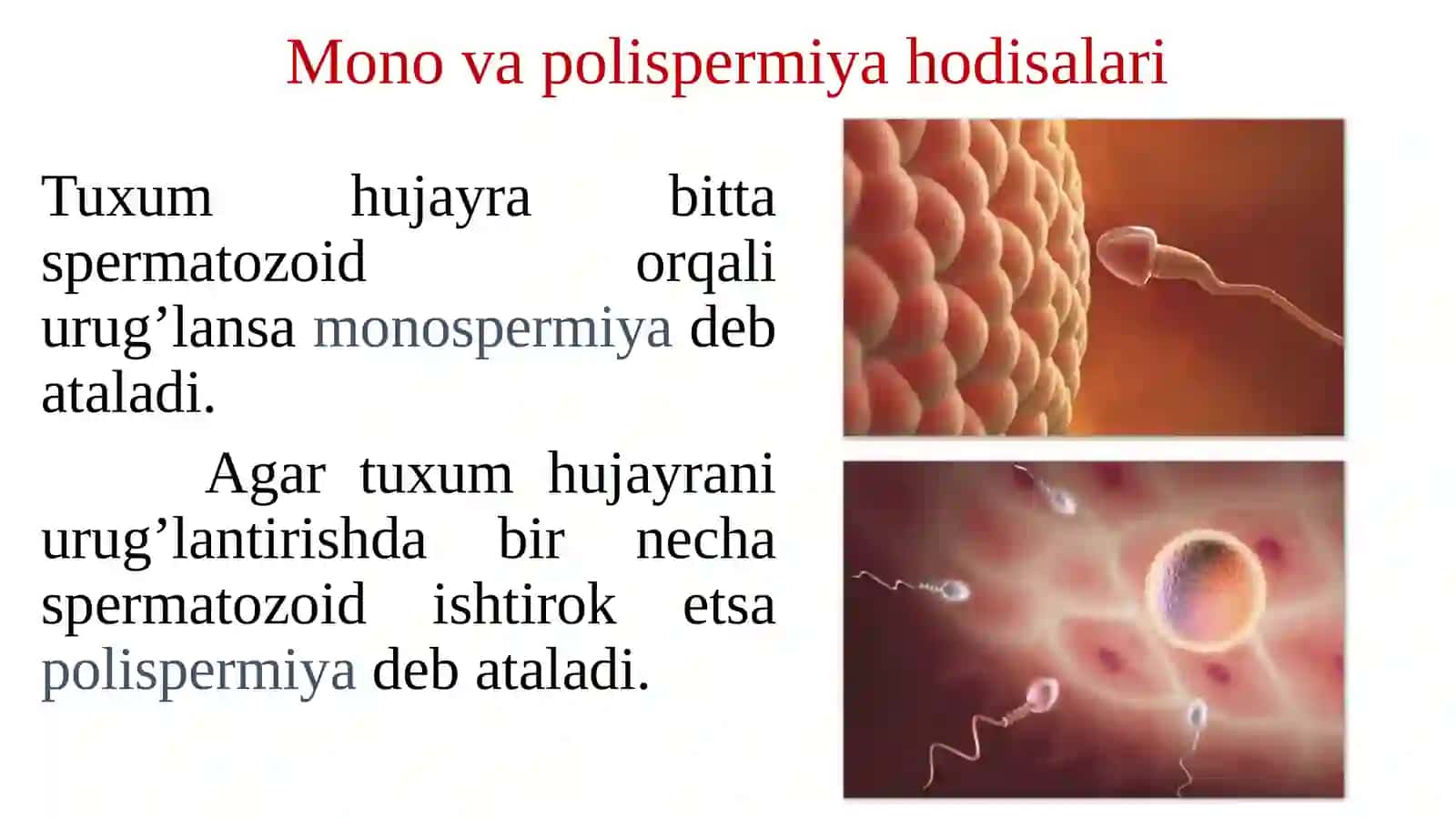 Urugʻlanish.Maydalanish.Implantatsiya 4
