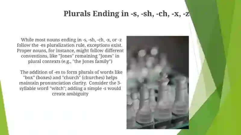 Irregular Plural Noun Formation 4