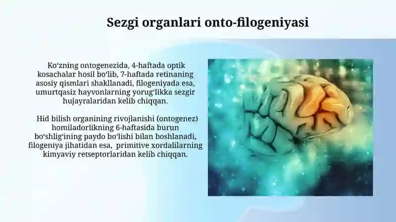 Ontogenez.A'zolar onto-filogenezi 4