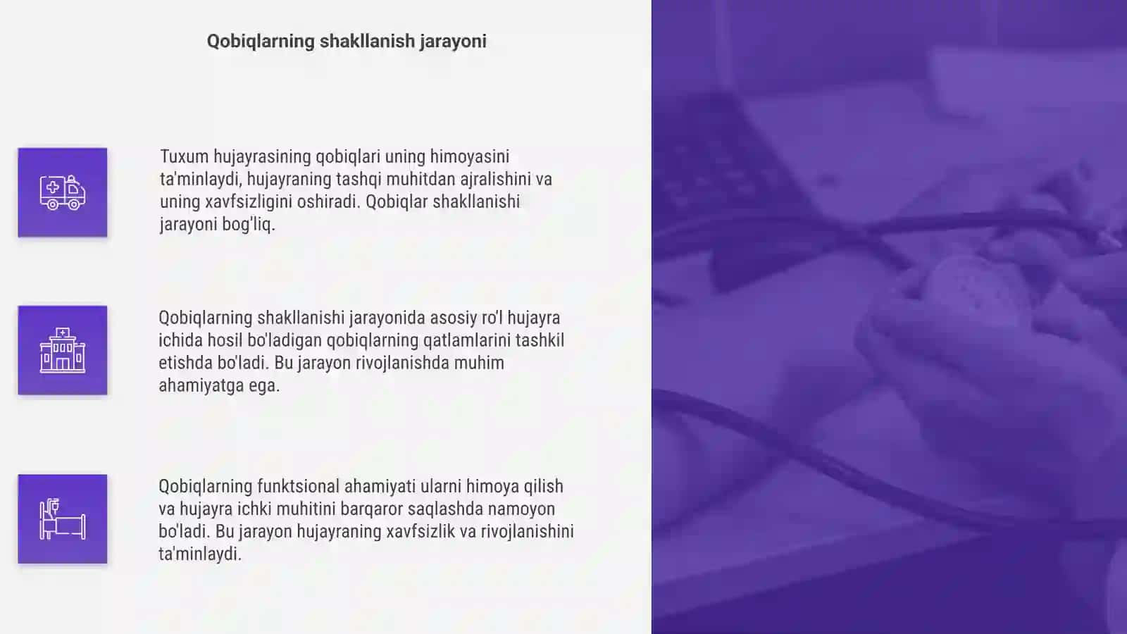 Tuxum hujayrasining qobiqlari 4