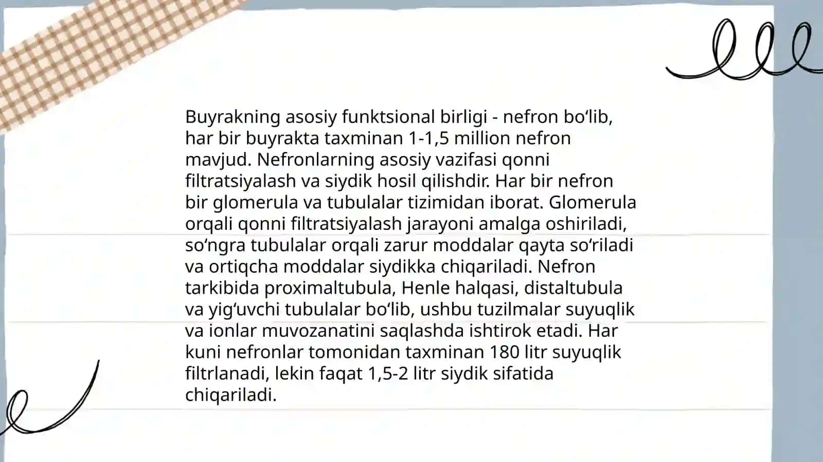 Buyrakning anatomik tuzilishi 4