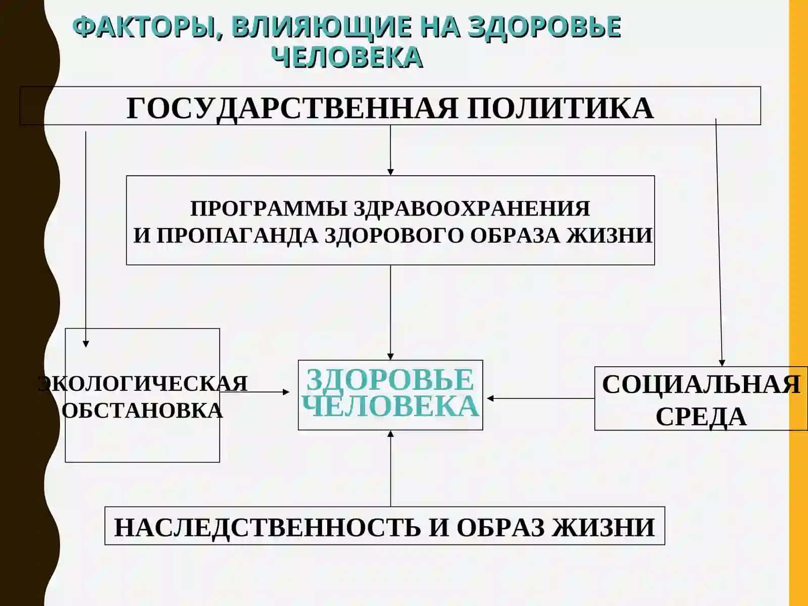 ДИСПАНСЕРИЗАЦИЯ НАСЕЛЕНИЯ 4
