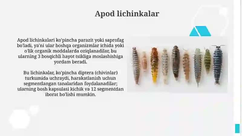 Suvda yashovchi lichinkalar 4