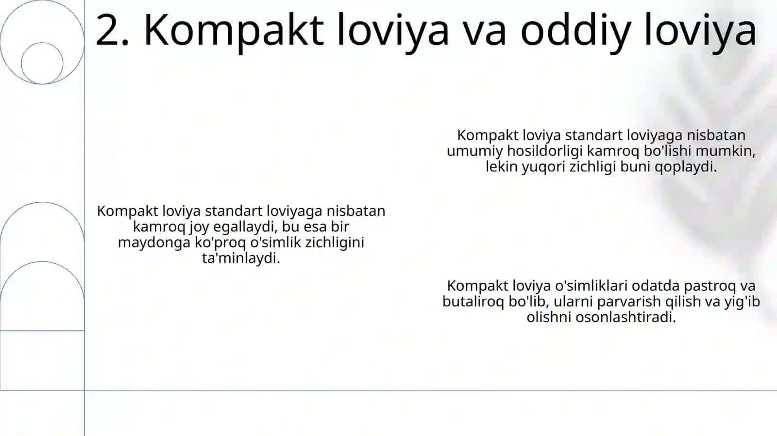 Kompakt fazolar 4