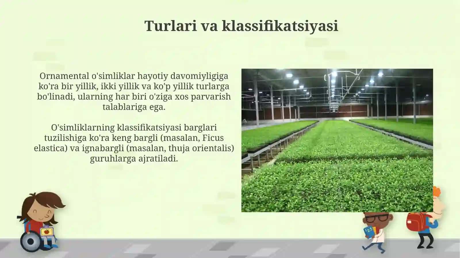 Manzarali oʻsimliklar introduksiyasi 4