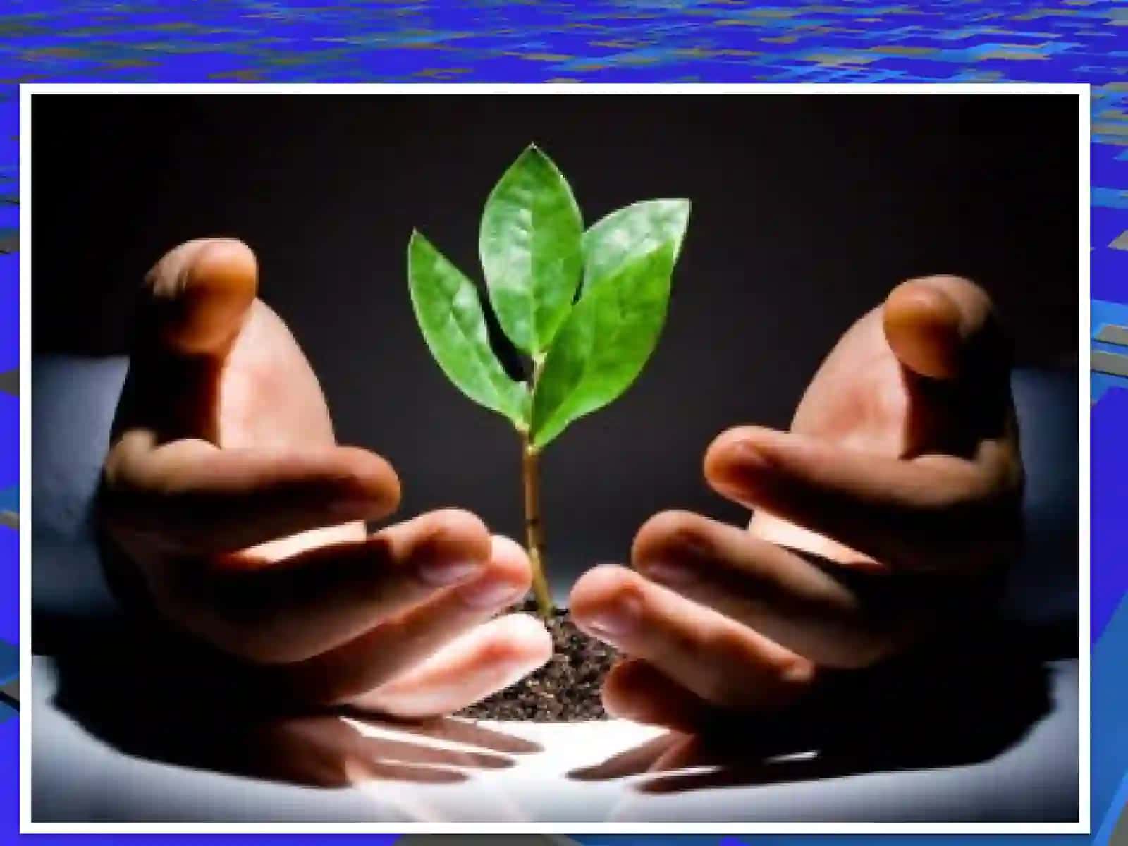Biosfera,global eko tizim 4