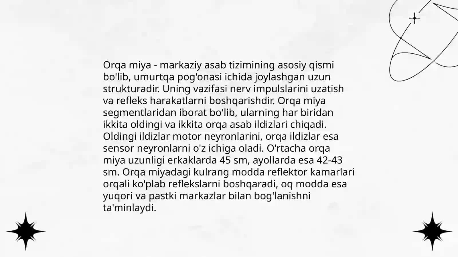 Markaziy nerv tizimining funksional anatomiyasi 4