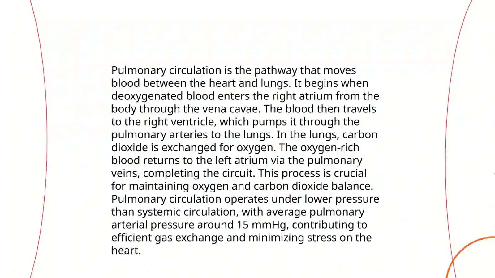 Lungs and a pulmonary system 4