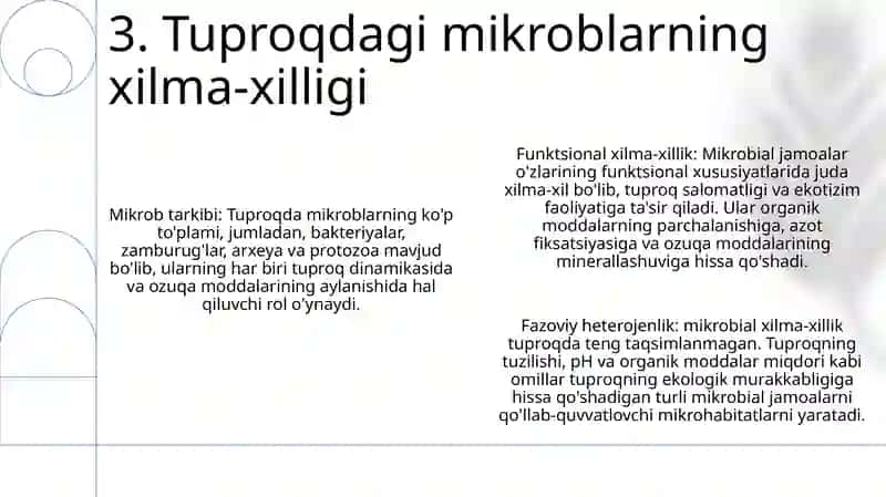 Tuproq Muhitining Mikroorganizmlari 4