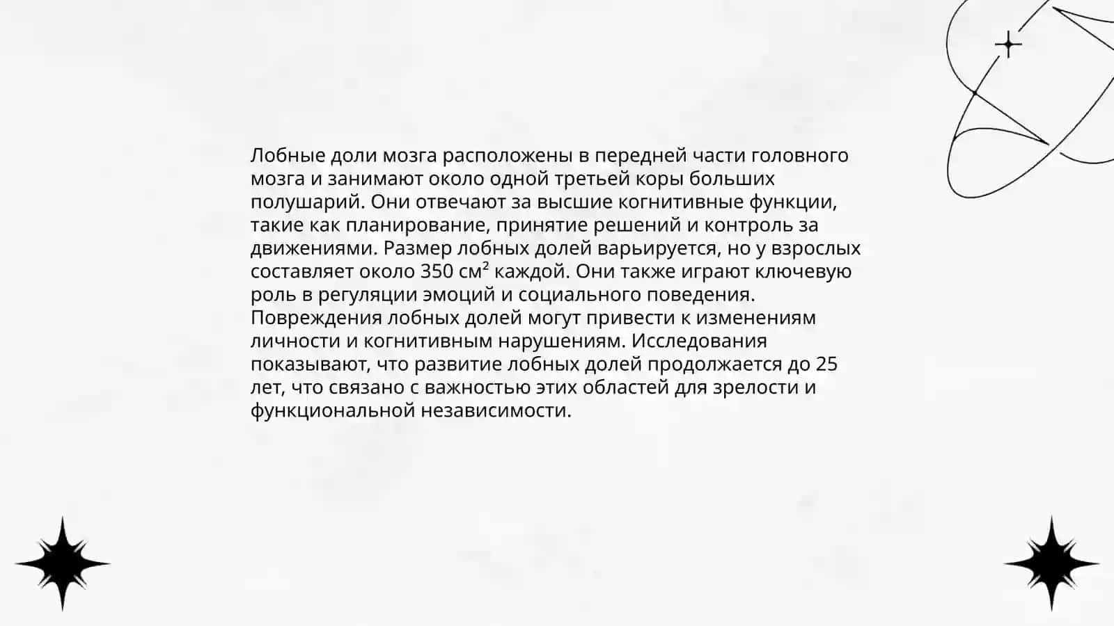 Головной мозг 4