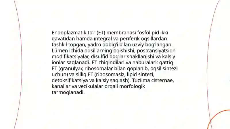 Sitoplazma Organoidlarining Klassifikatsiyasi 4