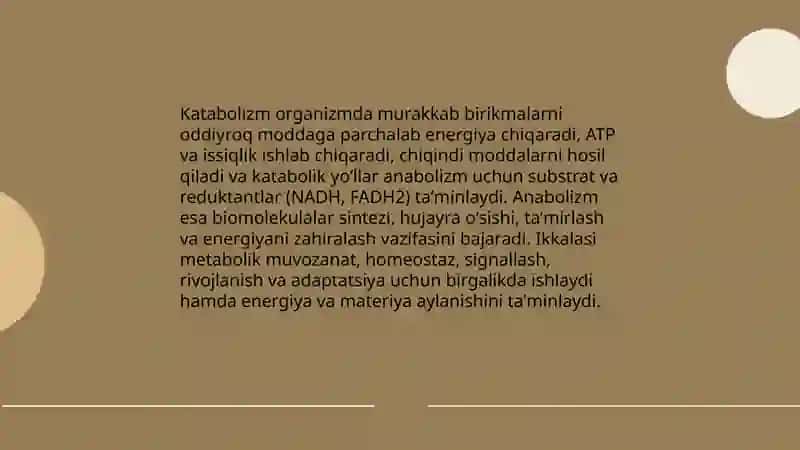 Metabolizm 4