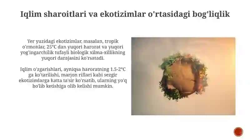 Yer Ekotizimlari 4