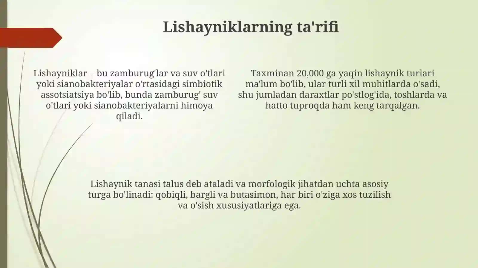 Lishayniklar 4