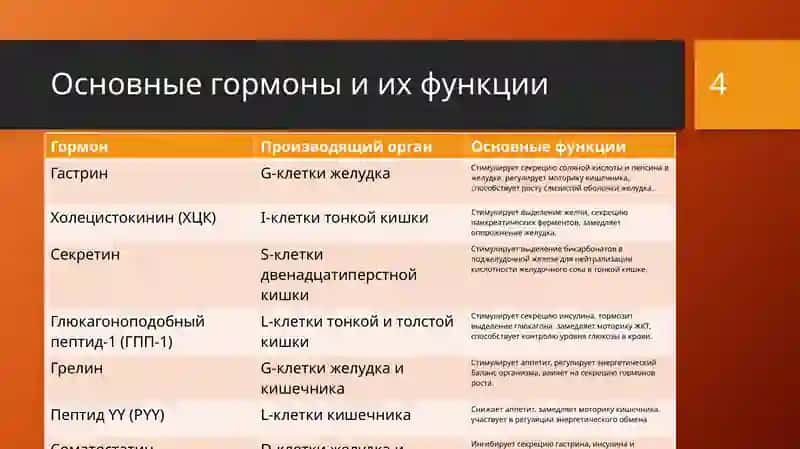 Эндокринные клетки ЖКТ 4