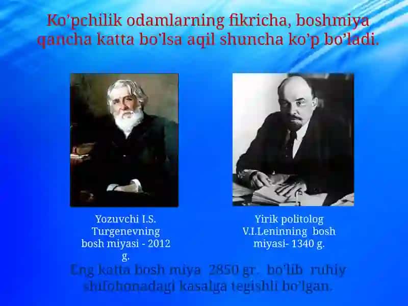 Boshmiyakattayarimsharlarivauningfunksiyalari 4
