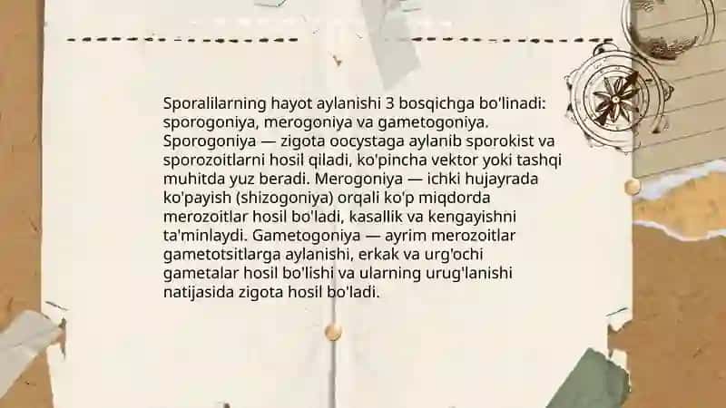 Odamlar parazitlari; Sporalilar 4