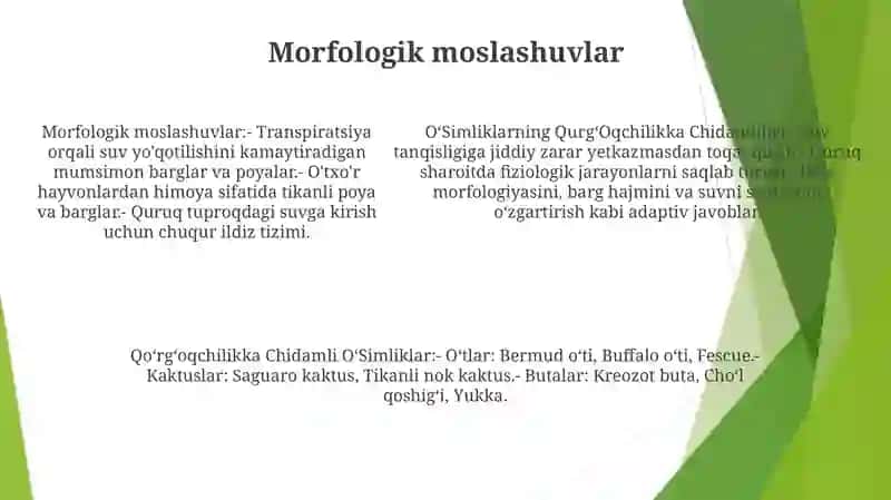 OʻSimliklarning QurgʻOqchilikka Chidamliligi 4