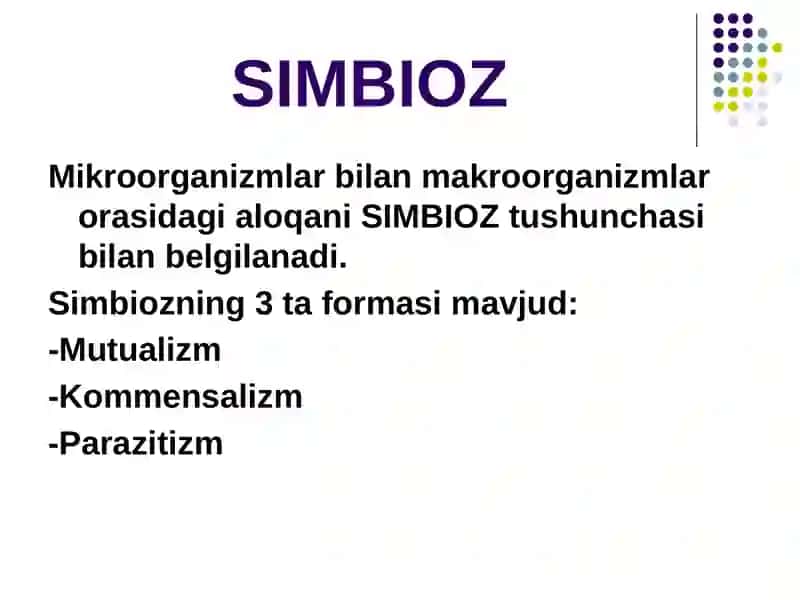 Amaliy mashg’ulot№10 4
