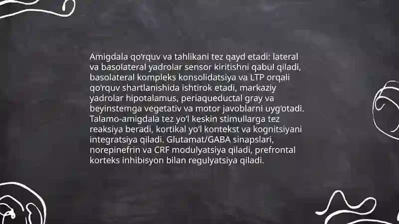 Emotsiyalarning neyrofiziologik asoslari 4