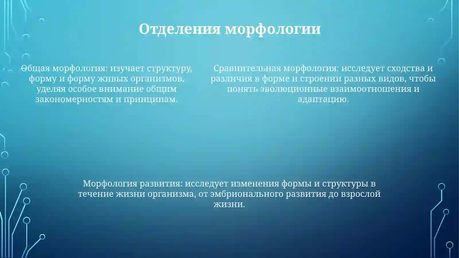 Морфология 4