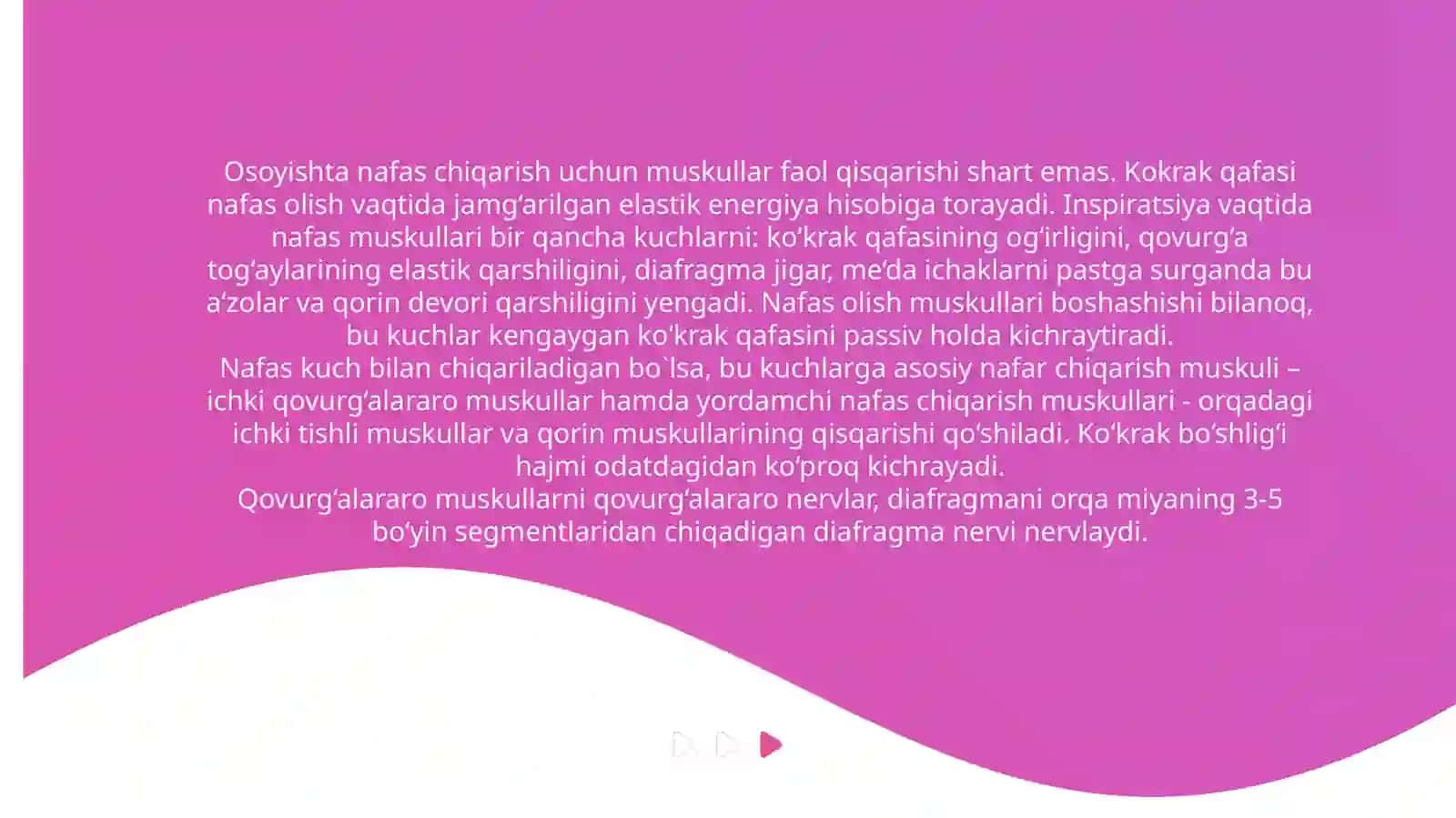 Nafas olish sistemasi fiziologiyasi 4