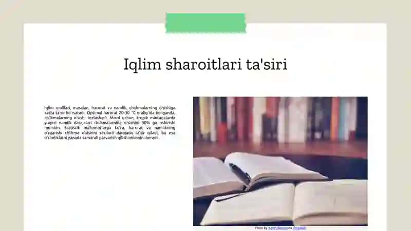 Chókmalarningerishsharoitlari 4