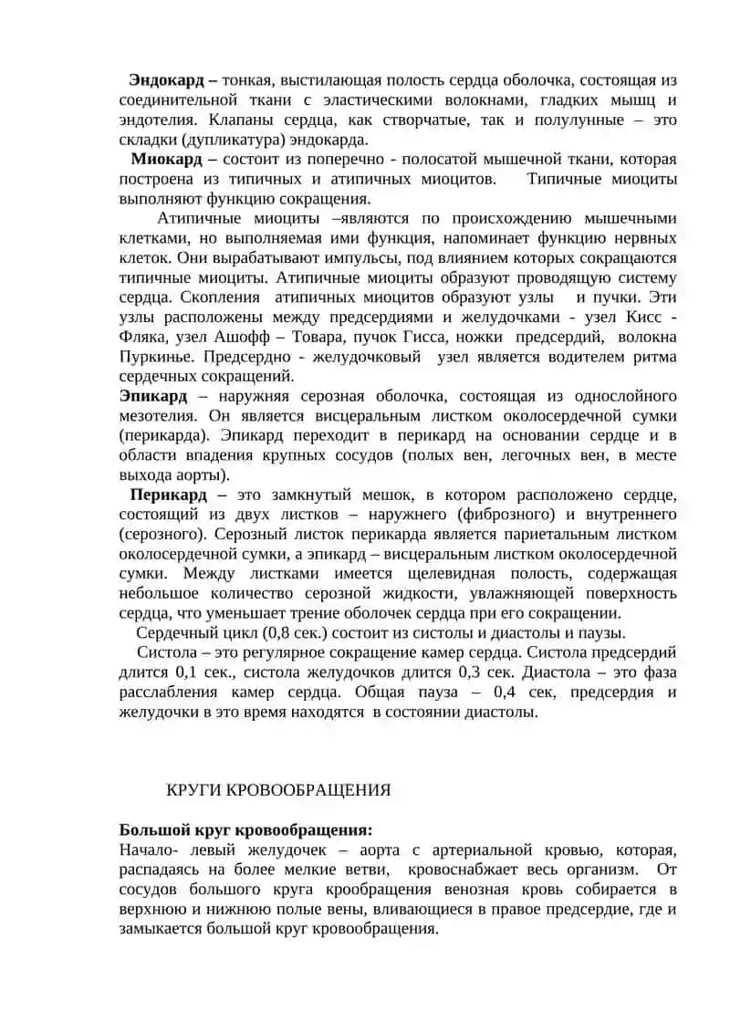 Сердечно-сосудистая система 4