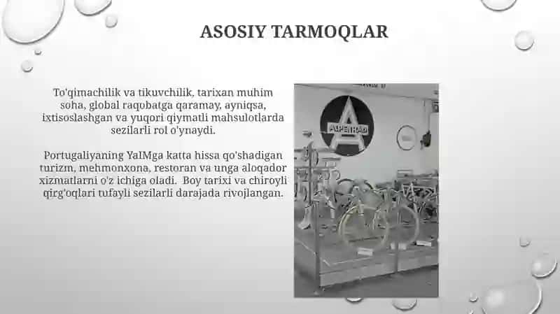 Portugaliya iqtisodi 4