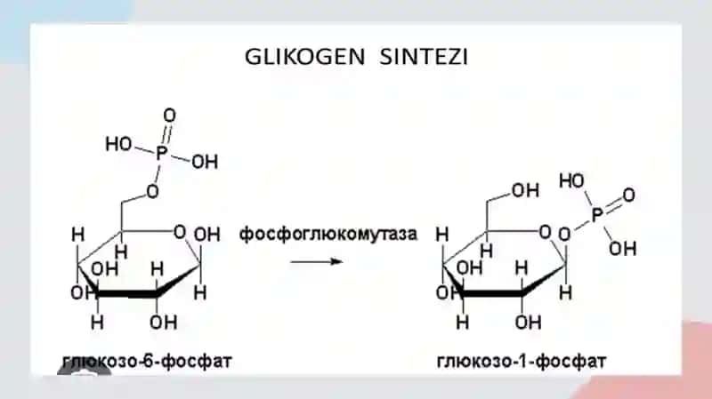 Glikogenkasalliklari 4