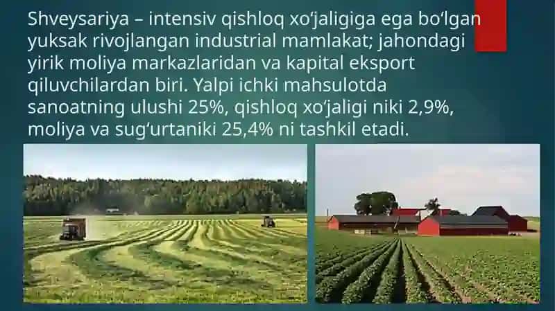 Shvetsariya davlatining investitsiya muhiti. 4