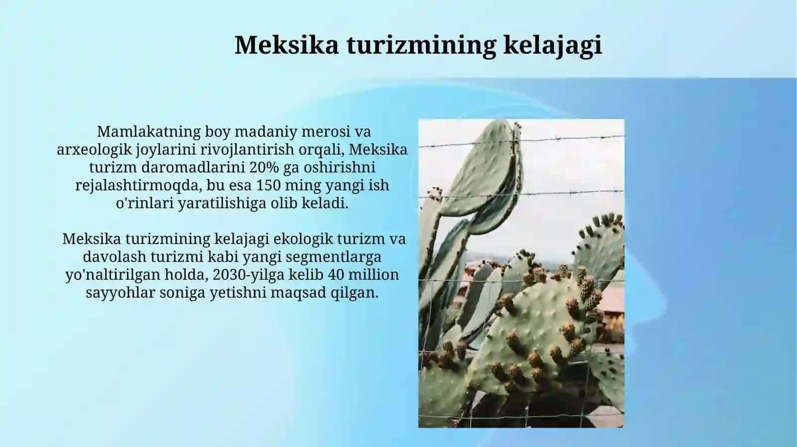 Meksika turizmi 4