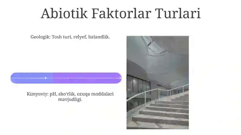 Abiotik Omillarni Ekosistemlarga Ta'siri 4