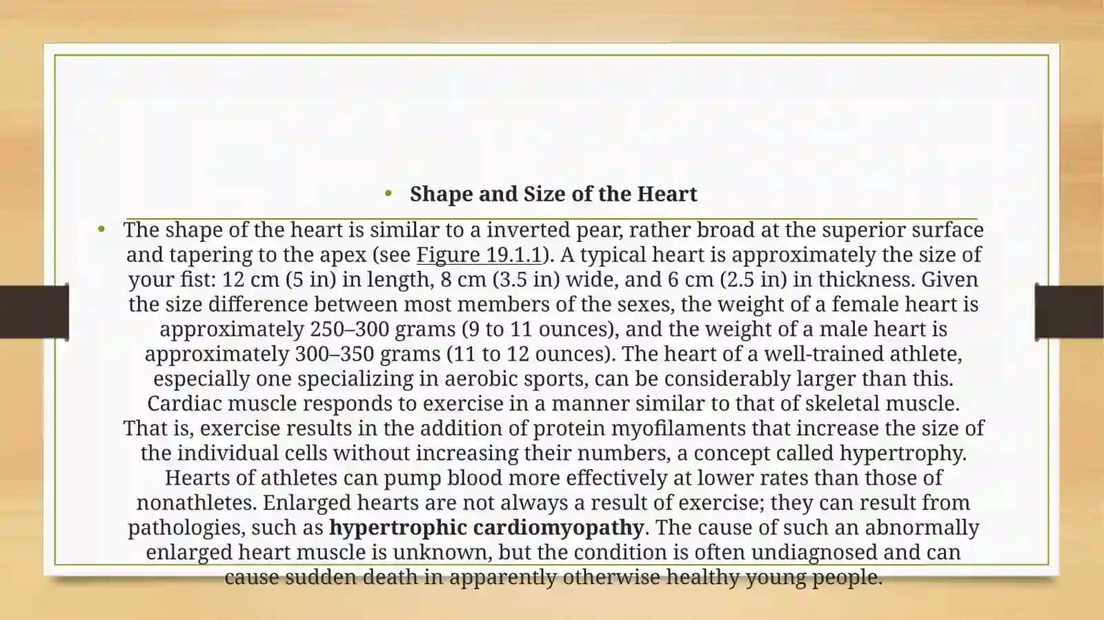 Anatomo-physiological signs of the heart 4