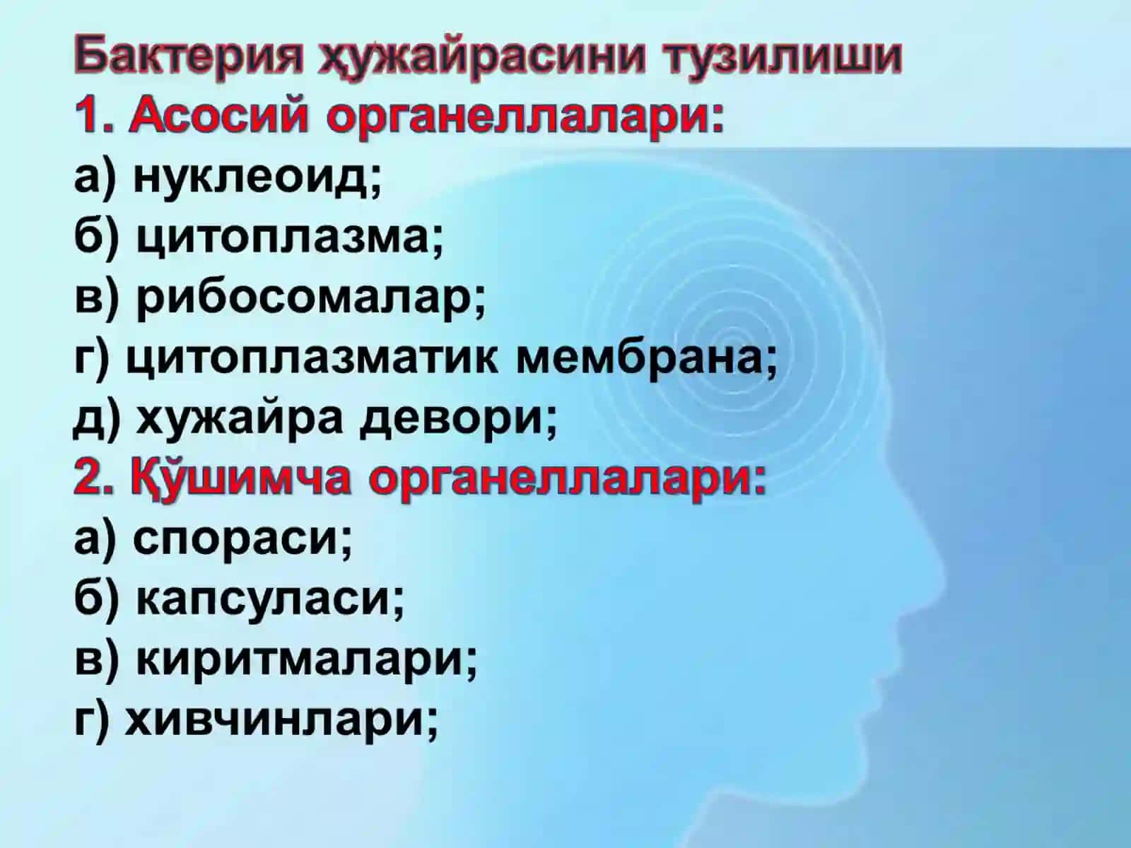 Bakteriyalar tuzilishi 4