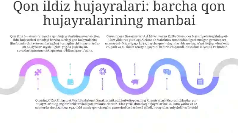 Gematopoez Nazariyalari 4