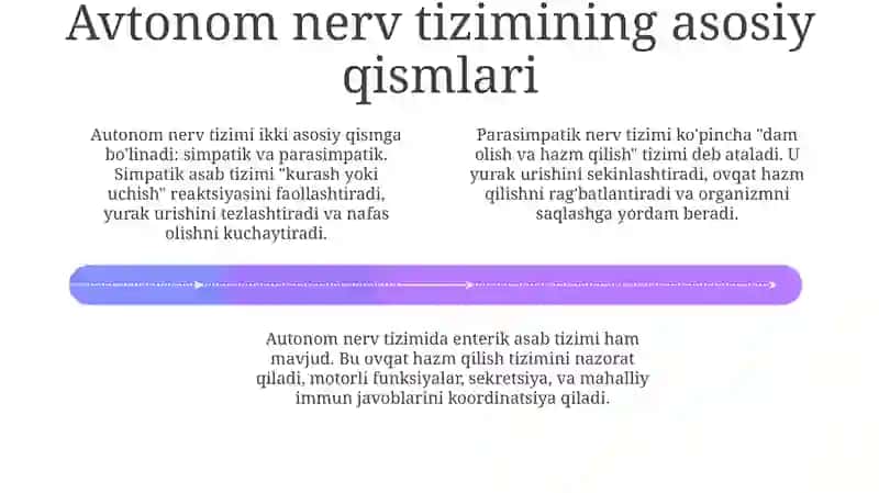 Avtonom nerv sistemasi 4