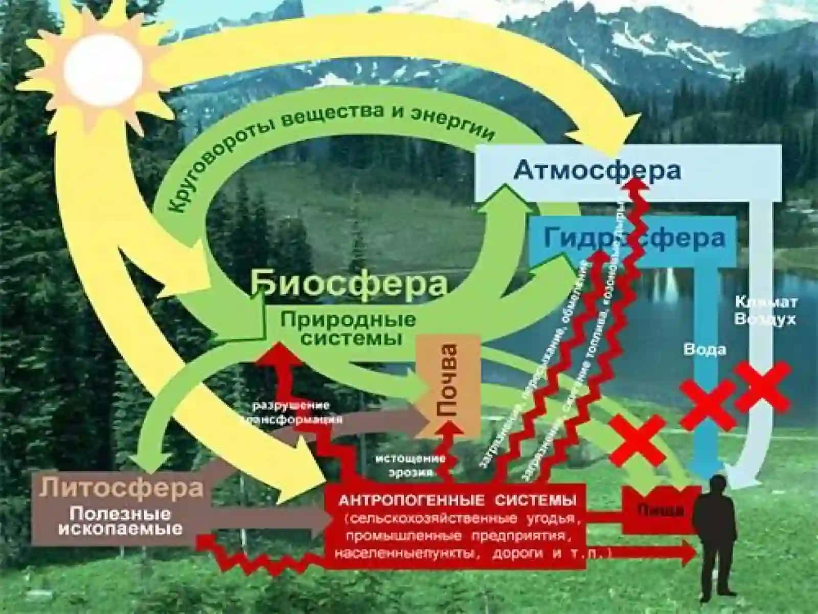 Biosfera va uni muhofaza qilish 4