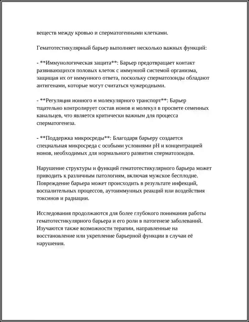 Гистафизиология гемато-тестикулярного барьера 4
