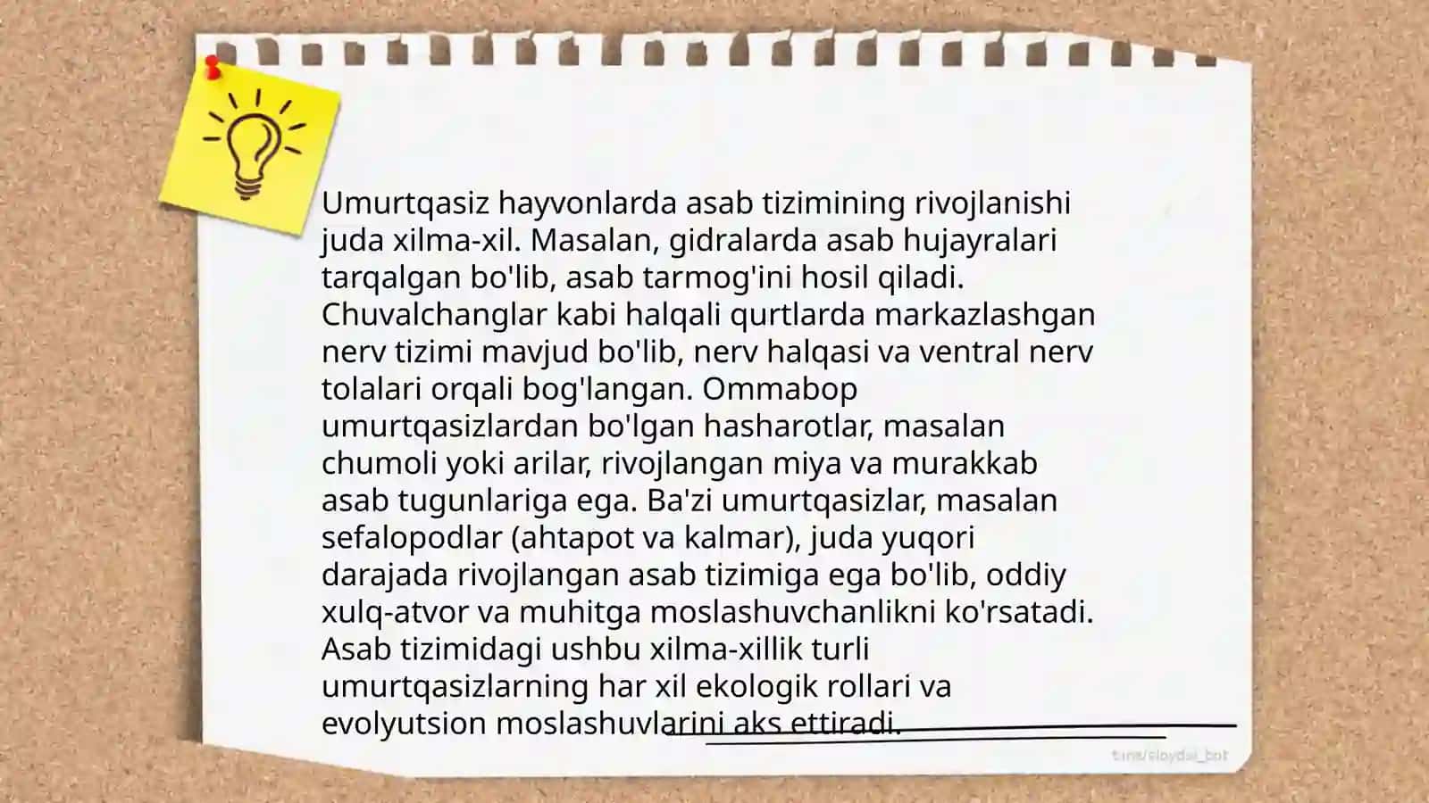 Asab tizimining evolyutsiyasi 4