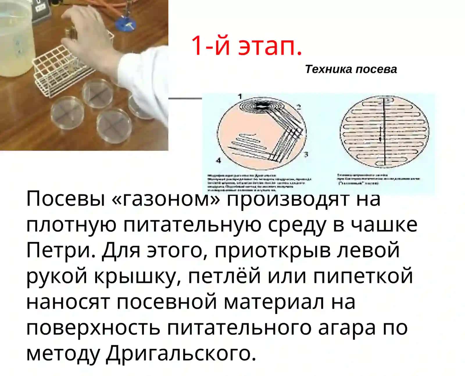 Метод Дригальского 4