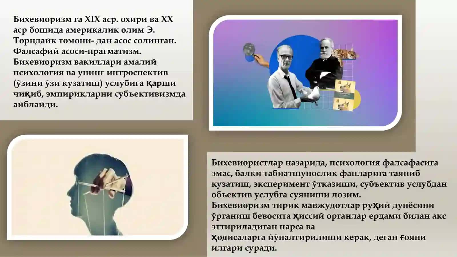 Бихевиоризм 4