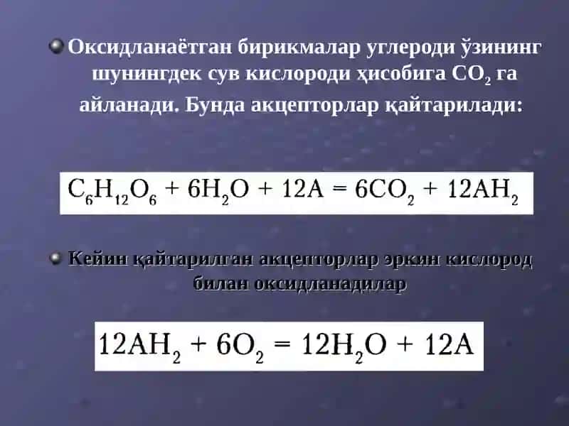 БИОЛОГИК ОКСИДЛАНИШ 4