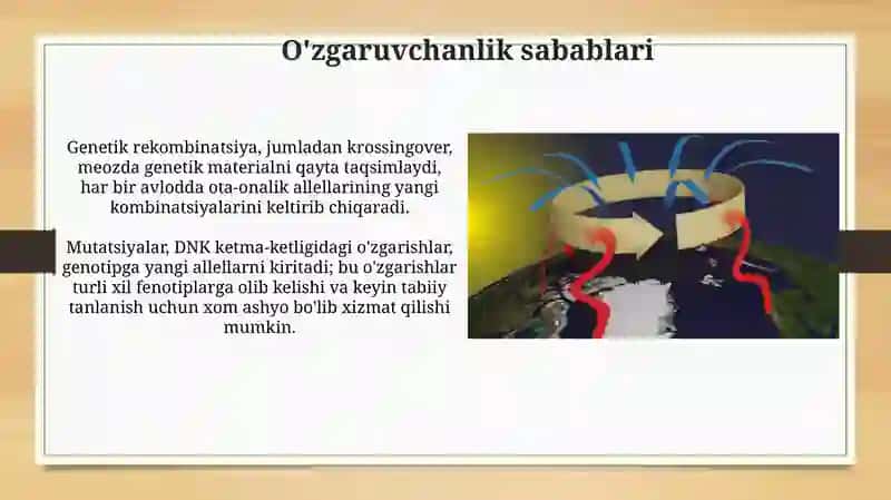 O'zgaruvchanlik va uning xillari 4