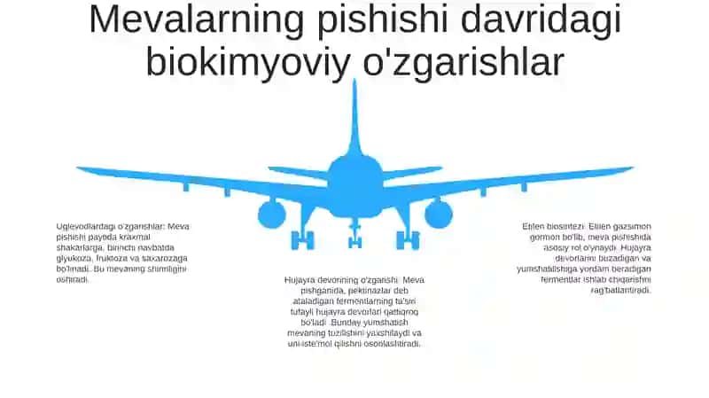 Mevalarning Pishish Biokimyosi 4