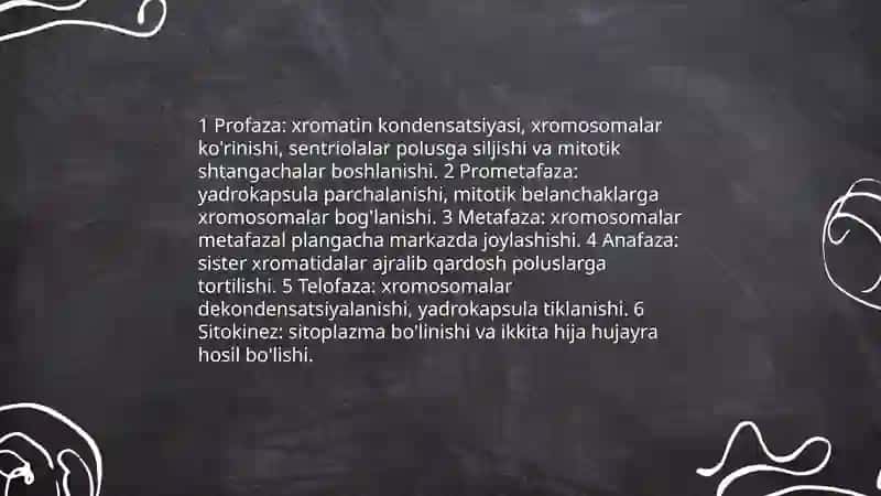 Hujayra profillaktikasi metoz va meyoz 4