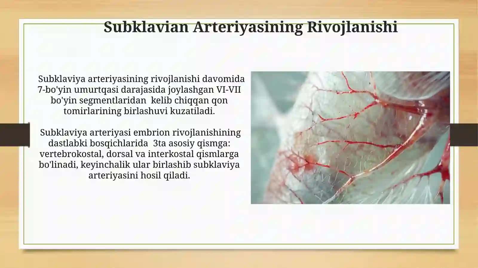 Arterial Arklarning Embrional Rivojlanishi 4
