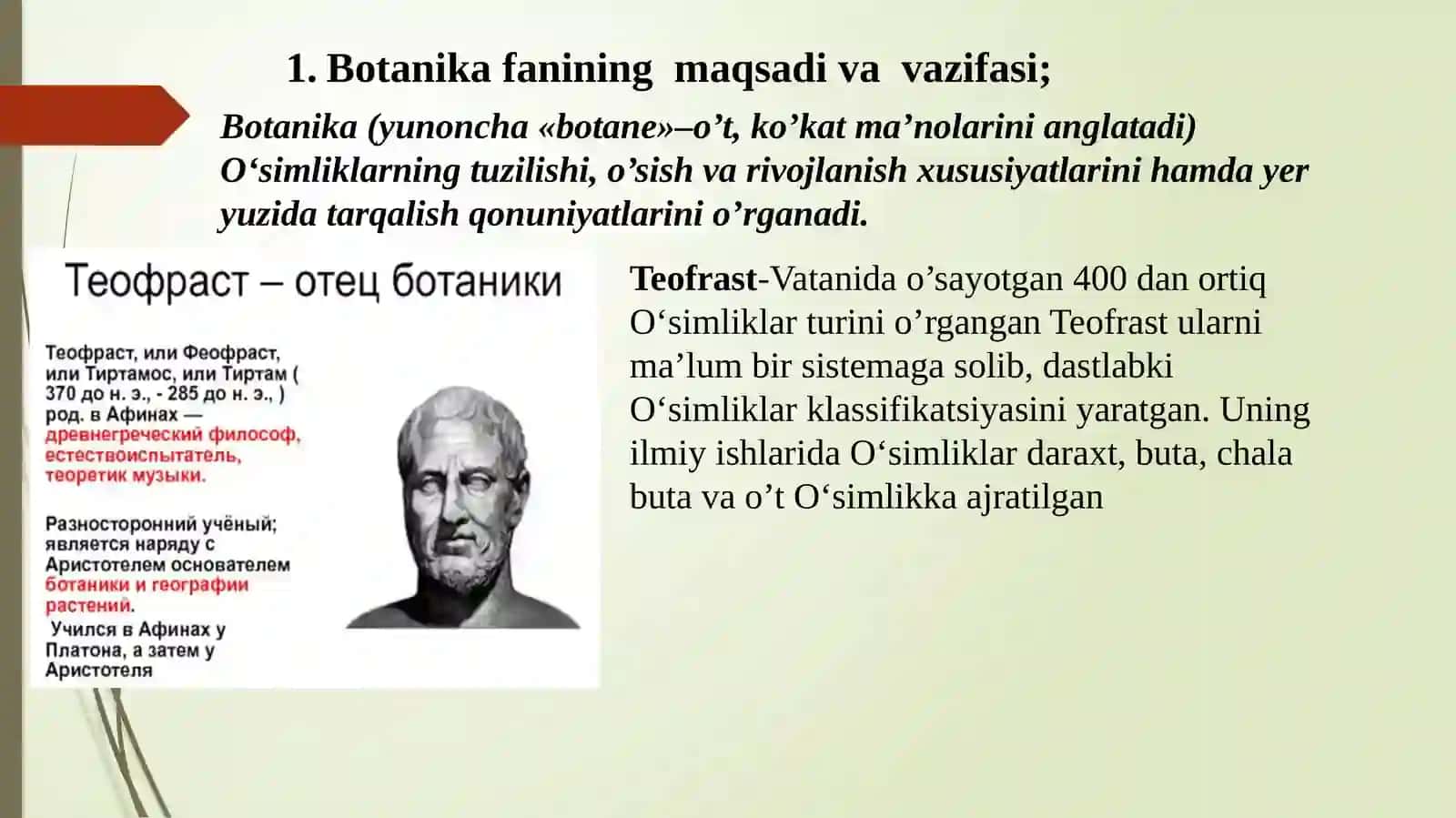 BOTANIKAFANIGA 4